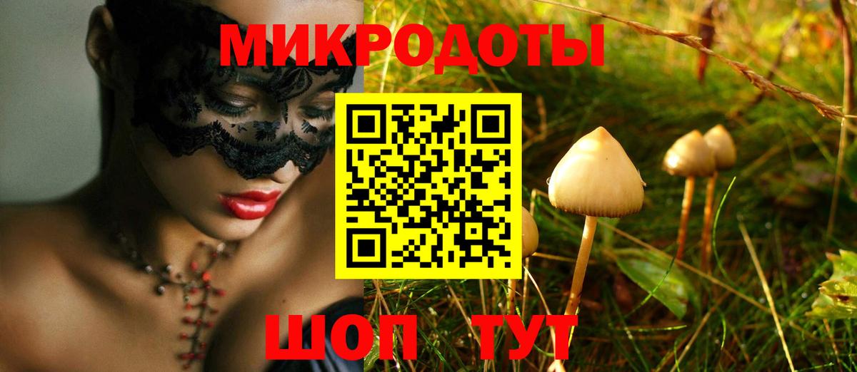 Урюпинск  Галлюциногенные грибы прущие грибы  Вход с VPN 